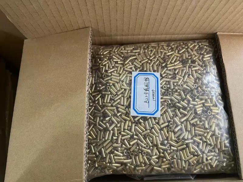 Une expédition au Bangladesh