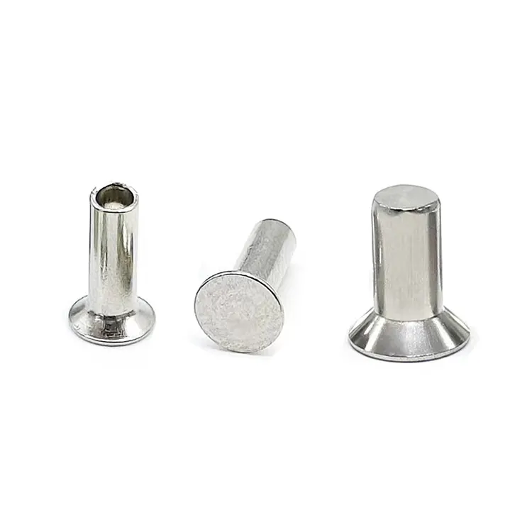 Rivets à tête fraisée en acier inoxydable
